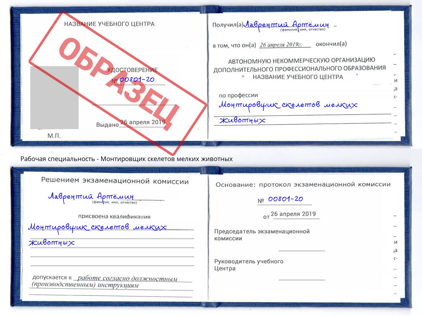 Монтировщик скелетов мелких животных Раменское