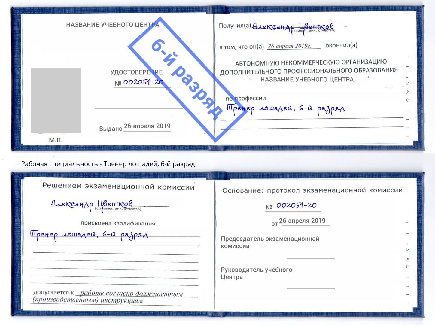 корочка 6-й разряд Тренер лошадей Раменское