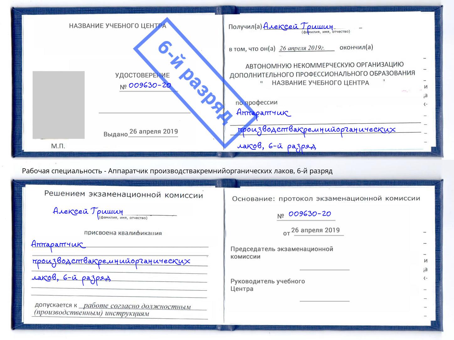 корочка 6-й разряд Аппаратчик производствакремнийорганических лаков Раменское